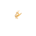 Remy