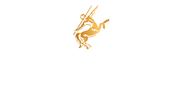 Remy