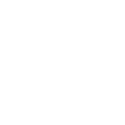 Flor de Caña